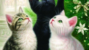 Red Nose & Hot Vibes - Die Nacht in Rot!