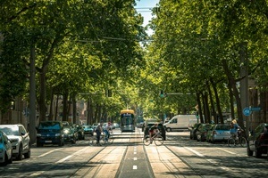 Connewitzer Straßenfest