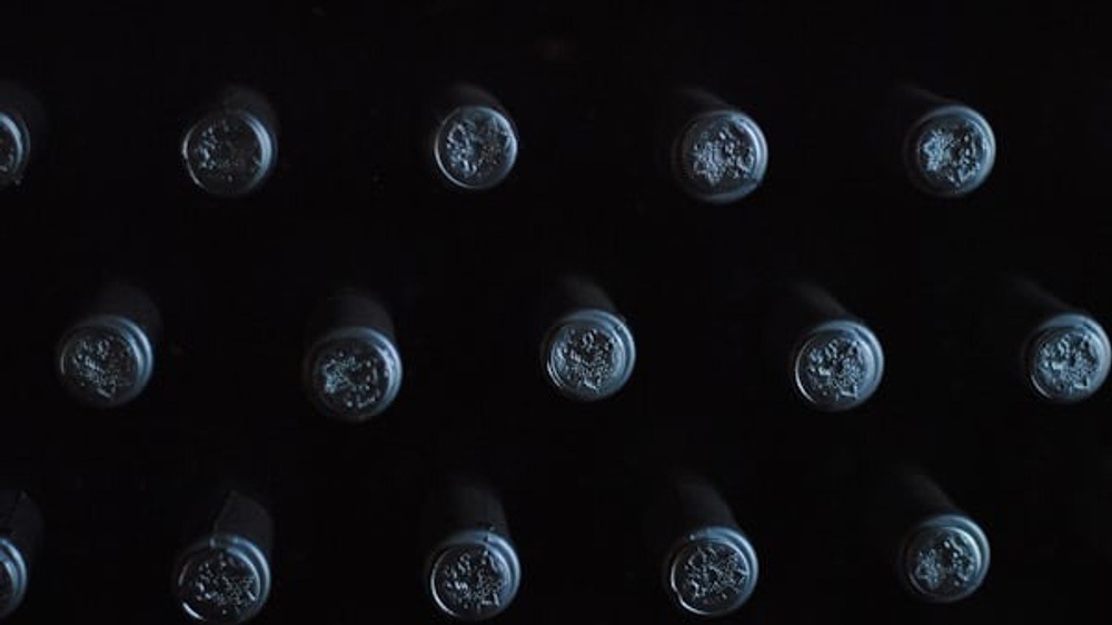 Winzerfrühling am Schlachthof