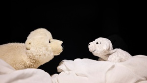 Kleiner Eisbär, wohin fährst du? - Inszeniert von Fithe - das Figurentheater aus Ostbelgien (B), in Kooperation mit dem Theater in der Badewanne, Stuttgart.