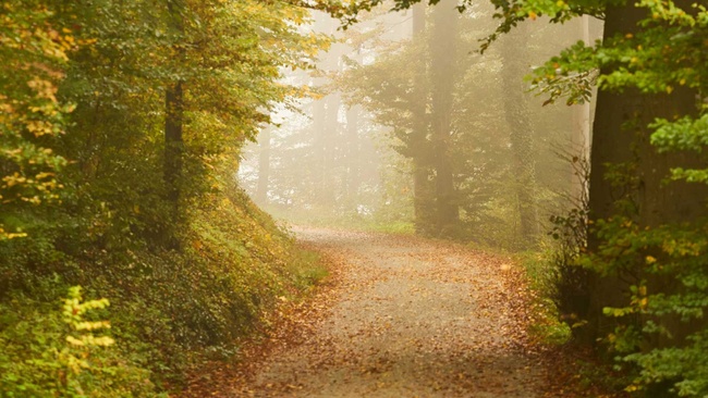 Selbstbestimmt sterben?!