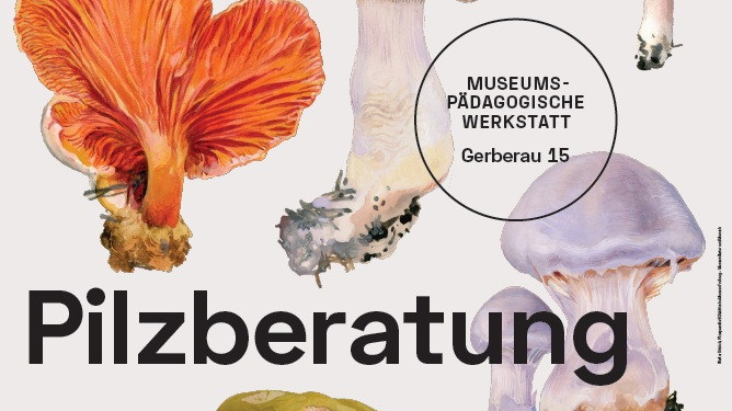 Pilzberatung