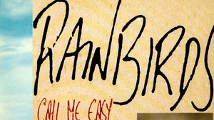 Rainbirds | Lieblingsplatte