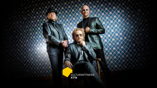 Night Fever - A Tribute To The Bee Gees