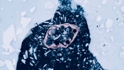 ICYU Community | Eisbaden Köln