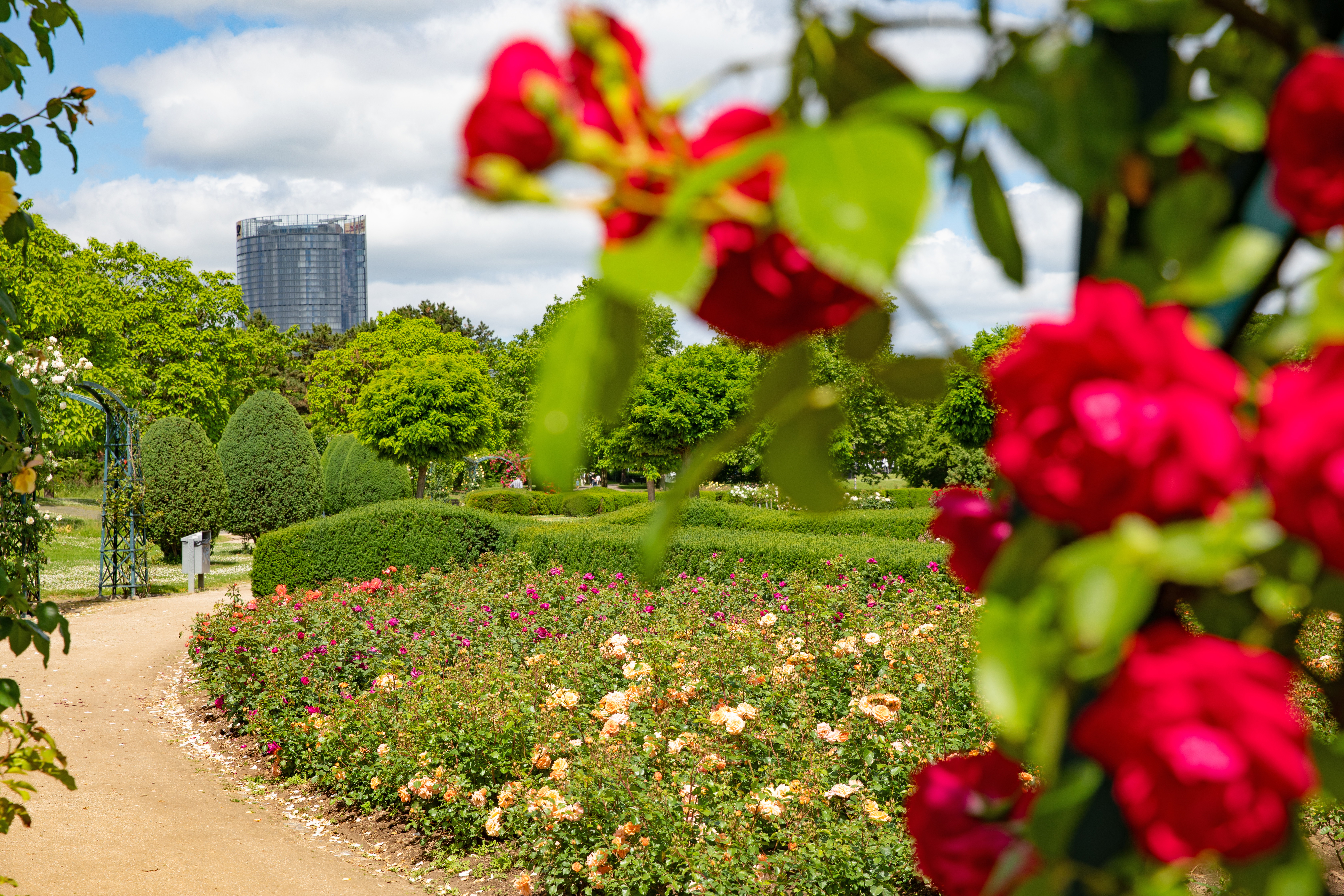 What's happening in Bonn in August 2026?