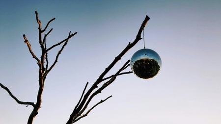 Vivid Open Air