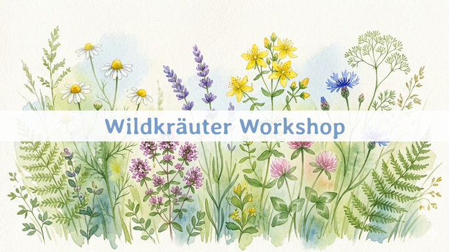 Wildkräuter Workshop auf dem Permakulturhof