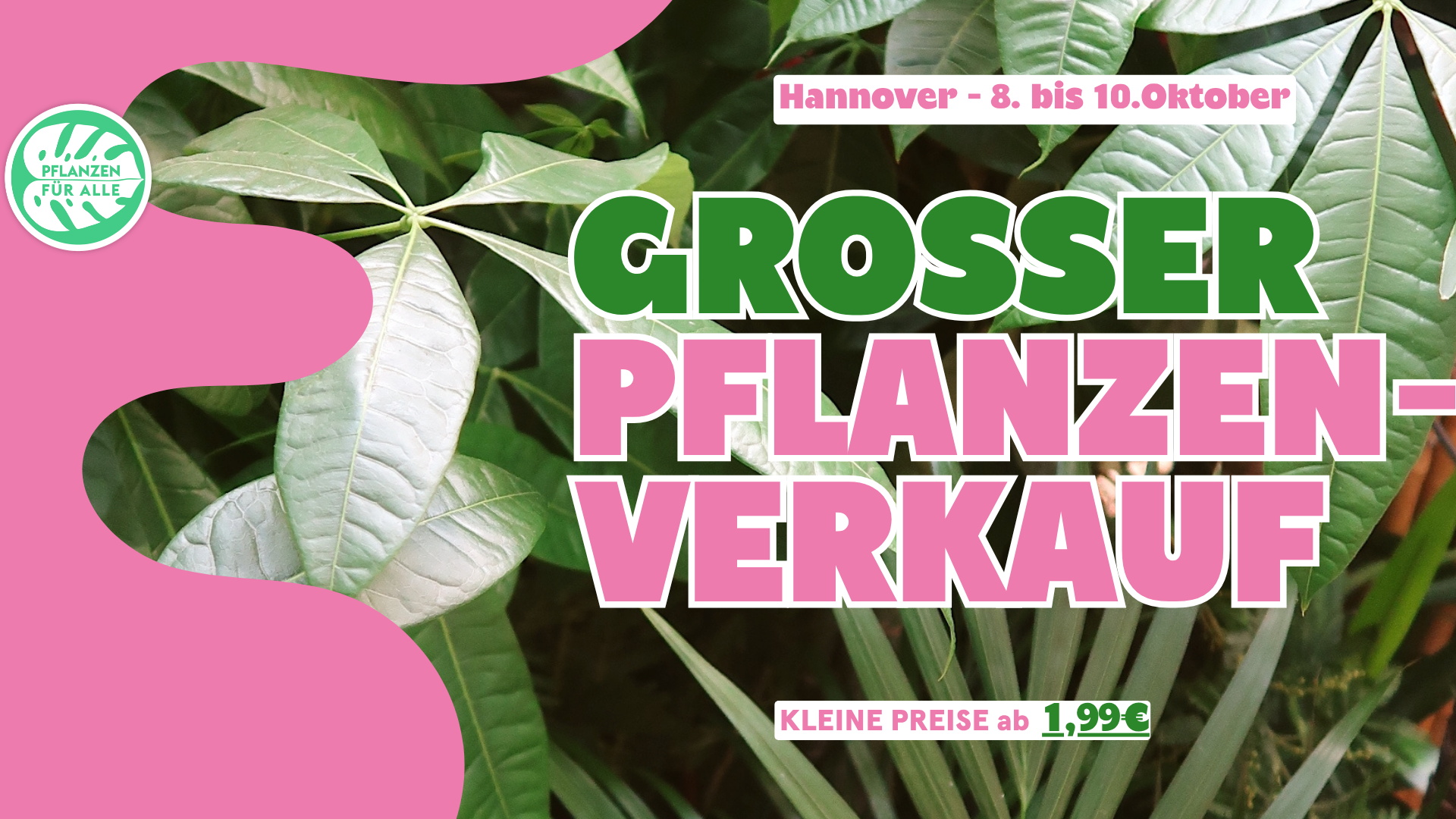 Großer Pflanzenverkauf - Hannover