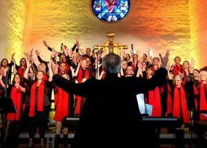 From Spiritual to Gospel, Gospelkonzert der Stephanus Voices