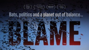 BLAME - ein bildgewaltiges Plädoyer für die Wissenschaft