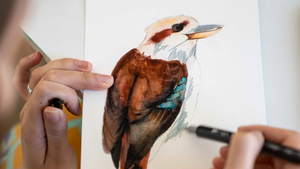 Nature Journaling for Bird Watchers: Summer Series