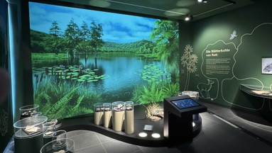 Öffentliche Führung im Stadtmuseum Siegburg | Von Vulkanen und einem subtropischen See