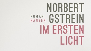 Norbert Gstrein: Im ersten Licht