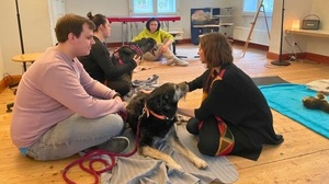 Hundemassage Workshop