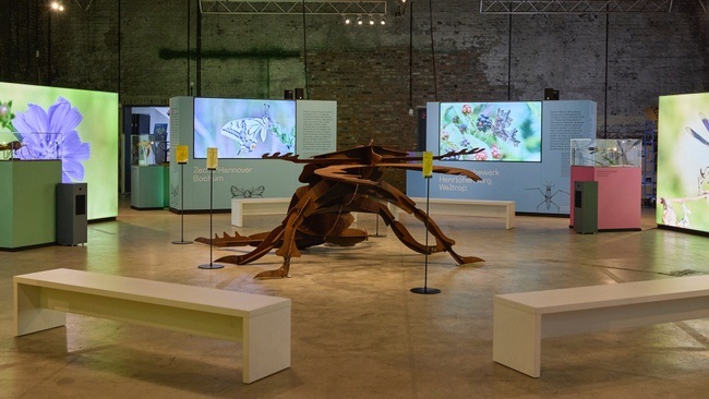 DGS-Führung durch die Sonderausstellung "IndustrieInsekten"