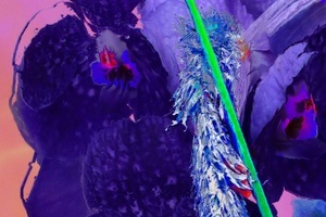 Spekulation und Symbiose: Ein Gespräch zwischen Esmeralda Conde Ruiz und Sara Morais dos Santos Bruss