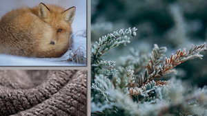 Winterfarben