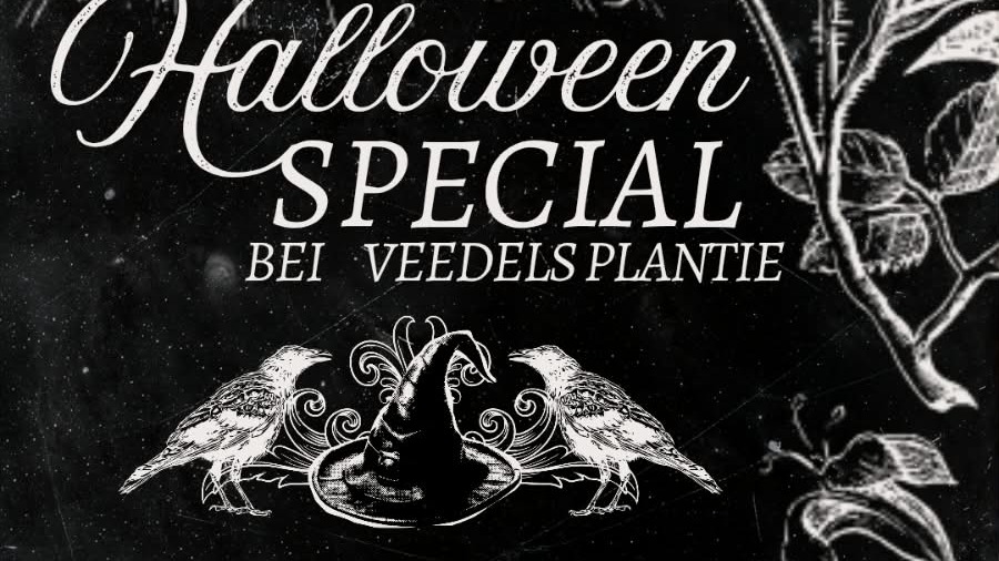HALLOWEEN SPECIAL BEI VEEDELS PLANTIE 🖤🎃