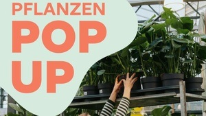 Pflanzen Pop Up