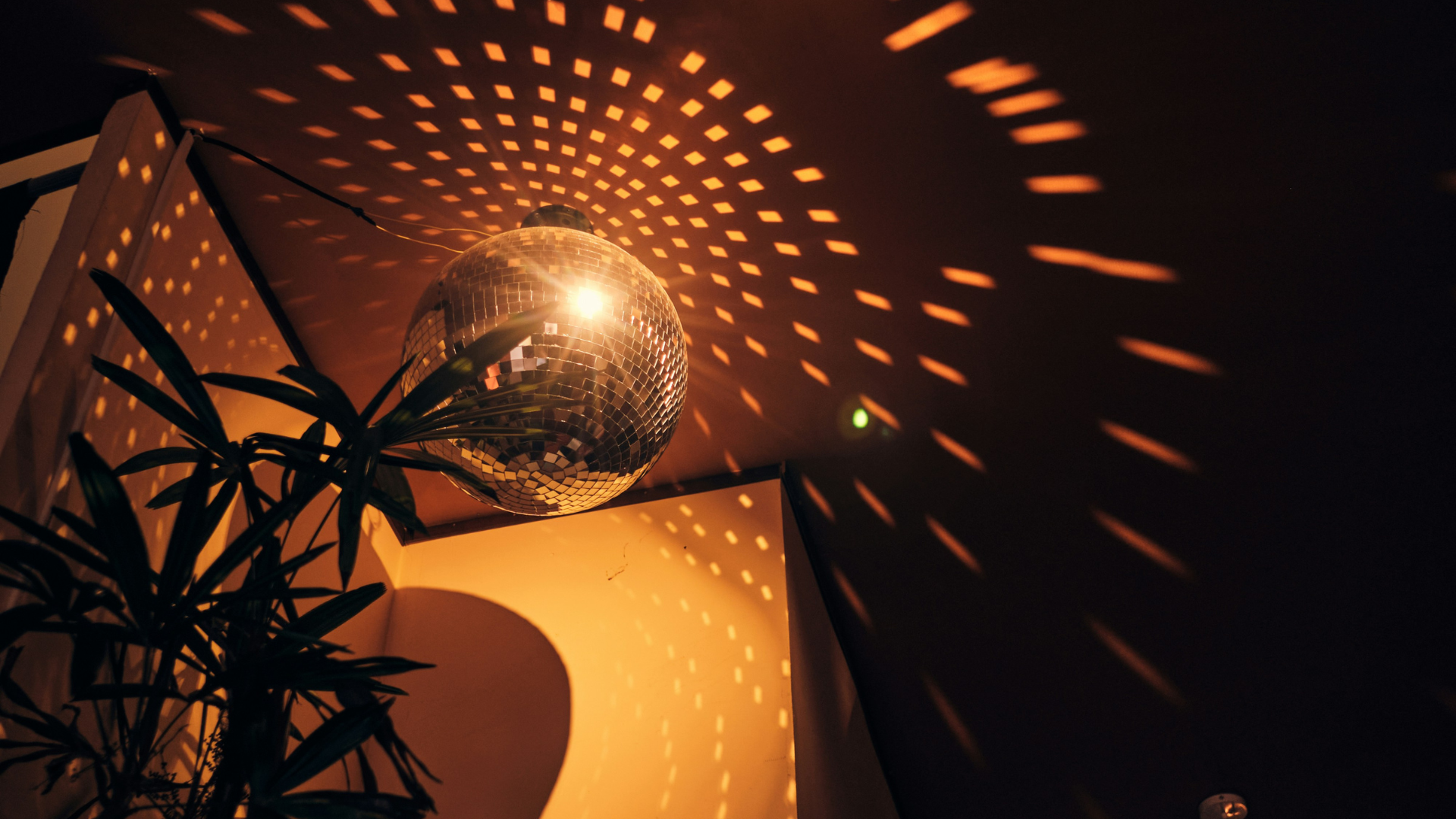 Great Parties and Drinks: Our Tips for Partying in Bonn