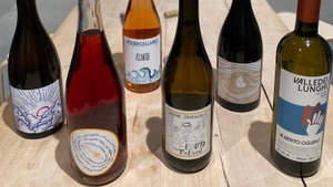 Wild, lebendig & nachhaltig – italienische Naturweine entdecken (Weintasting/ Weinverkostung)