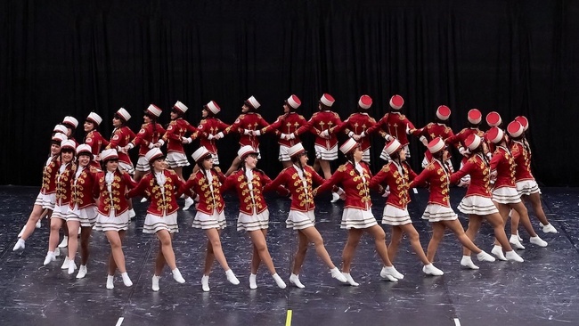 53. Deutsche Meisterschaften im karnevalistischen Tanzsport 2026