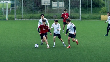 Halbfinale - HSFL Playoffs