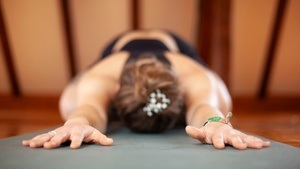 Morning Starter Yoga Class