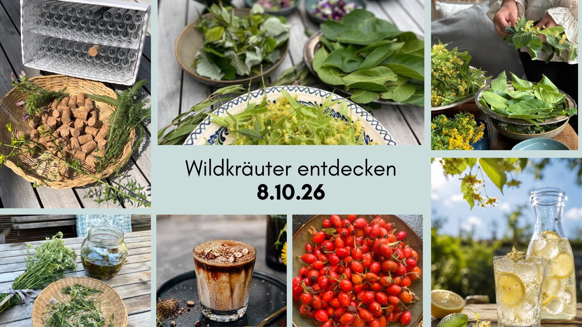 Wildkräuter entdecken – Mehr als Unkraut: Wilde Schätze vor deiner Haustür