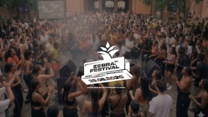 zebra. Festival