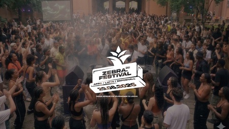 zebra. Festival