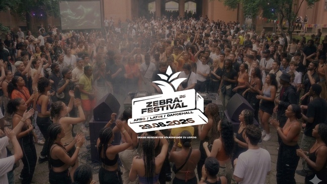 zebra. Festival