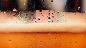 Dresdner Biersafari