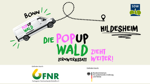 Die PopUp Wald Lernwerkstatt bei den EVI Lichtungen