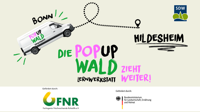 Die PopUp Wald Lernwerkstatt bei den EVI Lichtungen