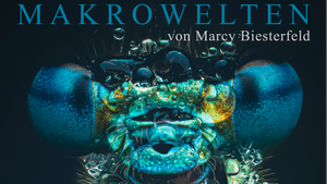 Fotoausstellung: "Im Fokus: Das Unsichtbare" – Makrofotografie von Marcy Biesterfeld