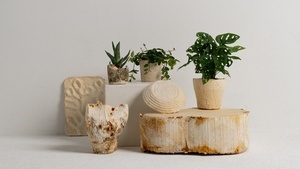 Myzelium Design Workshop