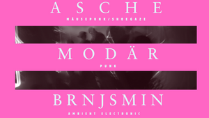 ASCHE/MODÄR/BRNJSMIN @TREIBHAUS ACTS