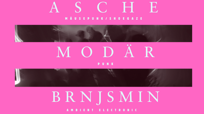 ASCHE/MODÄR/BRNJSMIN @TREIBHAUS ACTS