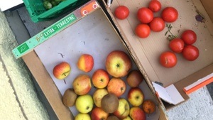 foodsharing-Neulingstreffen