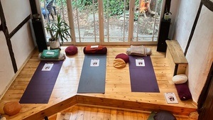Yin Yoga Stunde mit Mary