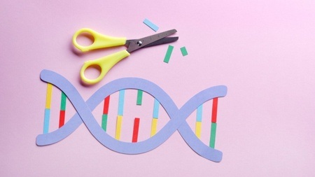 Forschung im Fokus: Nutzung von molekularen Genscheren in Pflanzen – Potential und Anwendungen