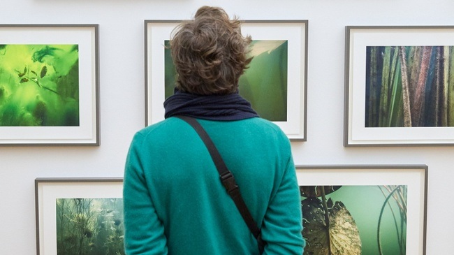 blaumachen: Abtauchen