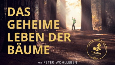 Kino im Theater: Das geheime Leben der Bäume