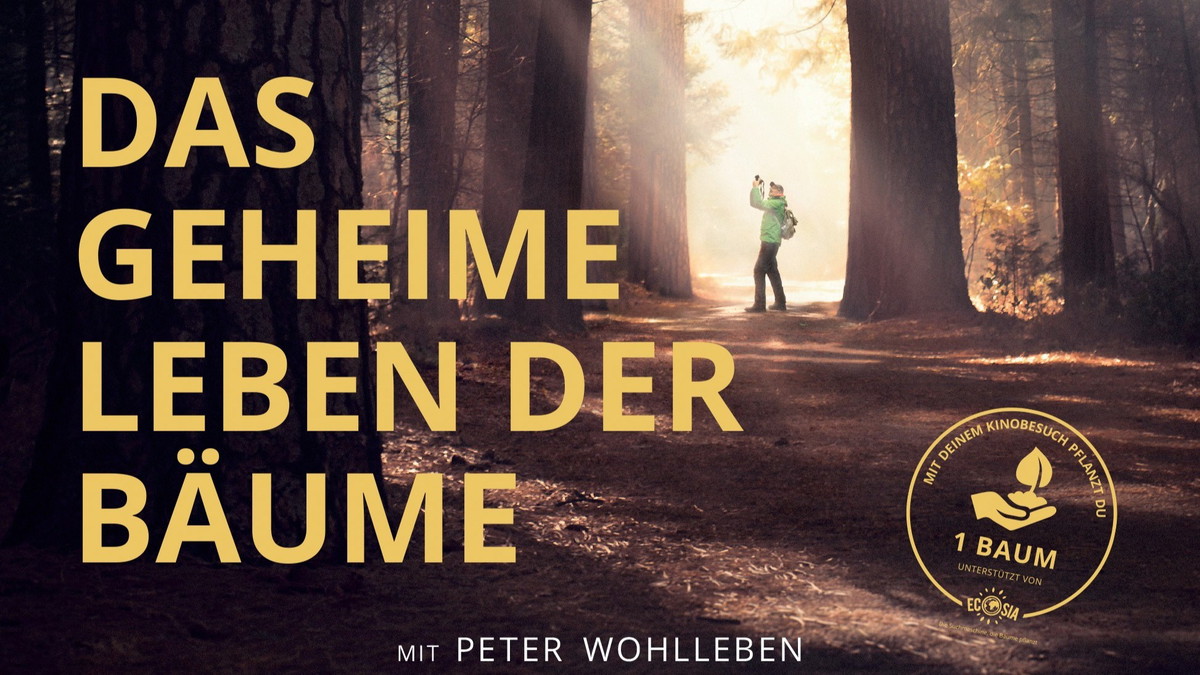 Titelbild der Veranstaltung Kino im Theater: Das geheime Leben der Bäume