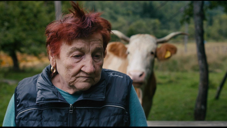 Where we used to sleep (Dokumentarfilm mit Expertengespräch)