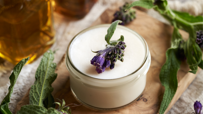 🌿 Workshop: Beinwellsalbe selbst herstellen – Heilkraft aus dem Garten 🌿