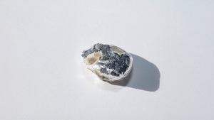 MATERIAL SHIFT Ausstellung