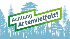 Vortrag: Kuriose Komplexität im Tierreich